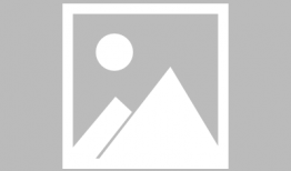 2017年电视剧,年度佳作回顾