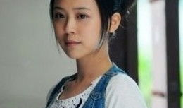 电视剧演员大全,璀璨星河中的璀璨星辰